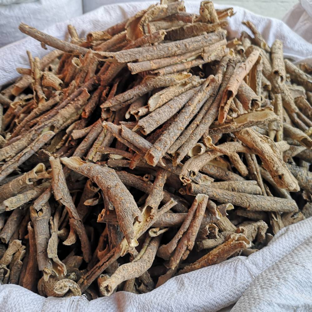 刺五加的药用价值与相关应用场景