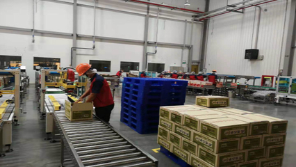 零食出海升级新篇章 洽洽5亿元海外建厂与电商平台服务的双重驱动